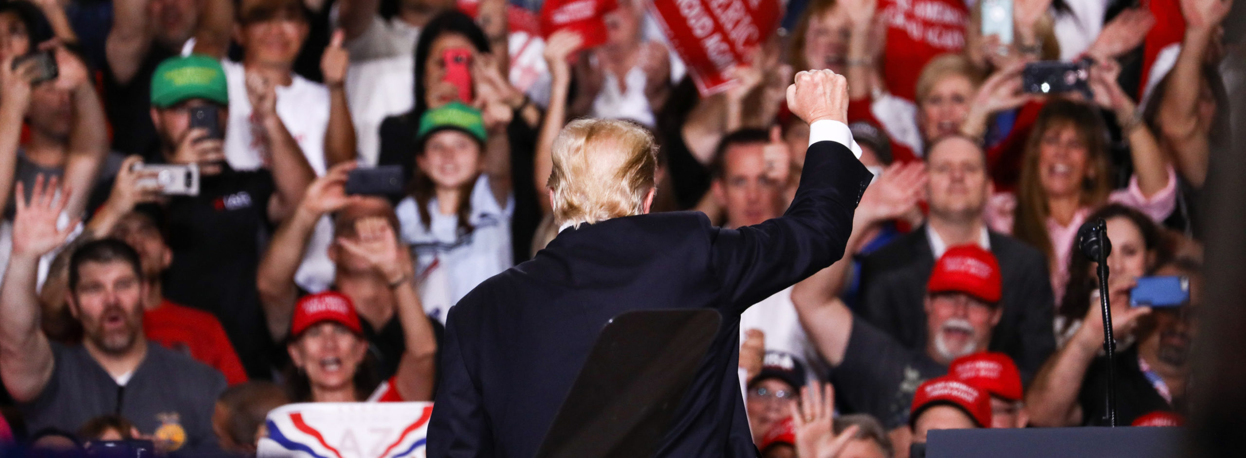WordPress, MAGA und die AfD
